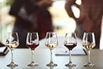 wine aroma, bunch rot, powdery mildew, fungal infection, wine production