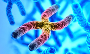 Antibody Engineering Made Easy with GenScript's Precise Mutant Libraries