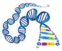 Gene Synthesis Services