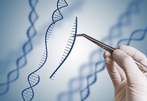Genome Editing Picture