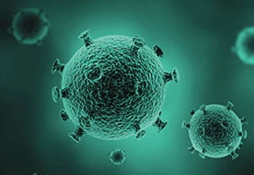 Peptide Libraries Probe SARS-CoV-2 Crossreactive T Cell Memory