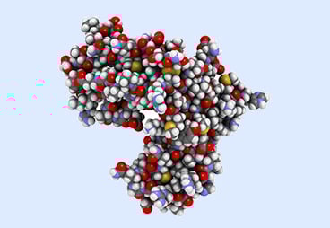 Hope for cancer patients: an immune-boosting protein without side effects created