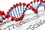 genetic engineering, synthetic + DNA + engineering, synthetic + transcription terminator, synthetic biology, synthetic biology + plant, Synthetic biology AND mammalian, synthetic genetics, synthetic genome, synthetic microbe, synthetic peptide, synthetic promoter AND yeast, Synthetic RBS, Synthetic stem cell, methylated DNA, Histone, (memory cognition) NOT (patient OR clinical), (memory retention) NOT (patient OR clinical), viral rna replication, DNA + replication, agriculture research