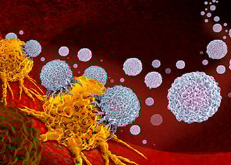 How the Proteasome Modulates the Immunopeptidome