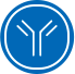 Antibody Production