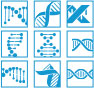 High-Throughput DNA Library Assembly