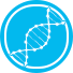 Custom Gene Synthesis