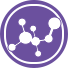Custom Peptides Synthesis
