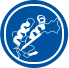 Recombinant Protein or Antibody Expression