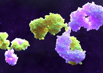 Identifying New Anti-PD-1 Monoclonal Antibody Drug Candidates