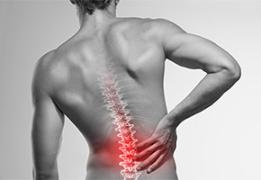 Drug discovery, drug screening, zebrafish, spinal cord injury