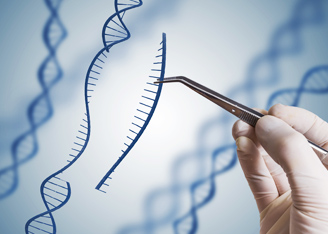 Improving CRISPR/Cas9 Genome Editing with Single-Stranded DNA Payloads