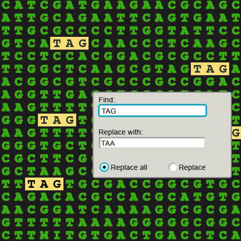 recode E. coli genome- replacing TAG with TAA