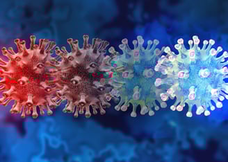 Infection and Vaccine-Induced T cell Responses Confer SARS-CoV-2 Variant Protection