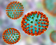 Human Vaccines Project against virus