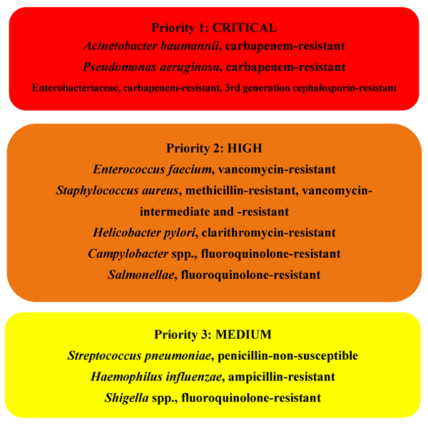 The WHO list of Global Priority Pathogens (GPP)