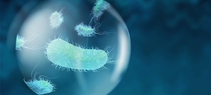 Leveraging Antimicrobial Peptides to Counter Bacterial Resistance