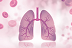 lungs, blood platelets, bone marrow, blood production, megakaryocytes