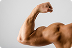 muscle mass
