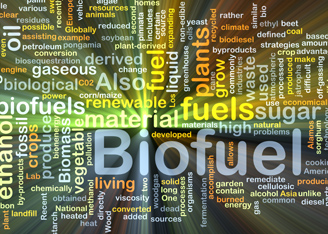 Maximizing Biofuel Production in the Yeast R. toruloides through Metabolic Engineering