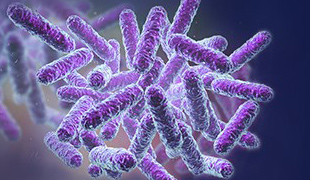 An Introduction to Therapeutic Chimeric Antigen Receptor T Cells