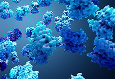 Microprotein plays key role in modulating UPR in response to ER stress