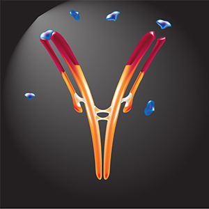 Hormone Receptor, odorant receptor, insulin receptor
