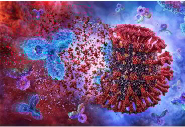 SARS-CoV-2 virus picture
