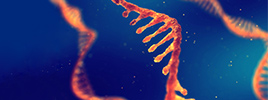 As a Gene Cell therapy deliver, mRNA is a more efficient coding language.