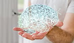 gene expression, maternal genes, paternal genes, differential expression, dorsal raphe nucleus, brain disorders, neurodegenerative disease