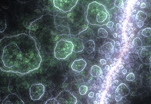 origin of life, primordial, RNA, peptides, evolution