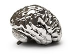 neuroscience