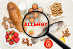 food allergy; allergy development; mechanism of developing allergy