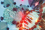 metastasis, long non-coding RNA, PNUTS