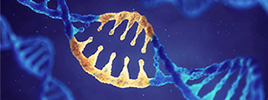Heated CRISPR Patent Dispute Settled