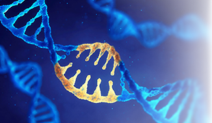 Novel Applications of CRISPR/Cas9 Genome Editing Technology