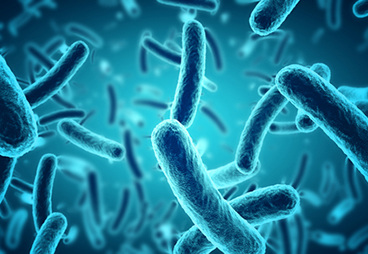 Large-scale microbial synthesis of plant-derived therapeutics via a novel plasmid-free expression system