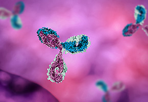 Novel Trispecific Antibody Shows Promising Therapeutic Effects for Multiple Myeloma