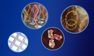 Antibody Engineering Made Easy with GenScript's Precise Mutant Libraries