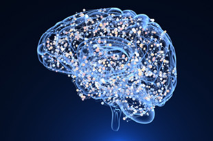 Brain Cells Picture