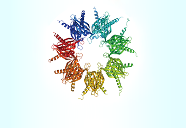 Optimize Your Recombinant Protein Expression By Combinatorial Vector Design