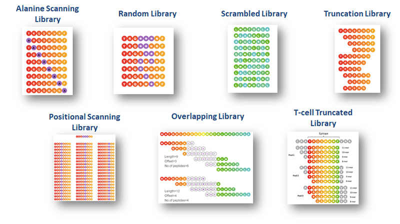 Free online peptide library design tools in GenScript