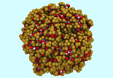 Impact of Counter-ion in Peptide on Studies in Different Research Fields