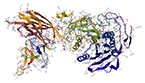 metabolon, enzyme cluster, enzymes, plant defense, dhurrin, sorghum