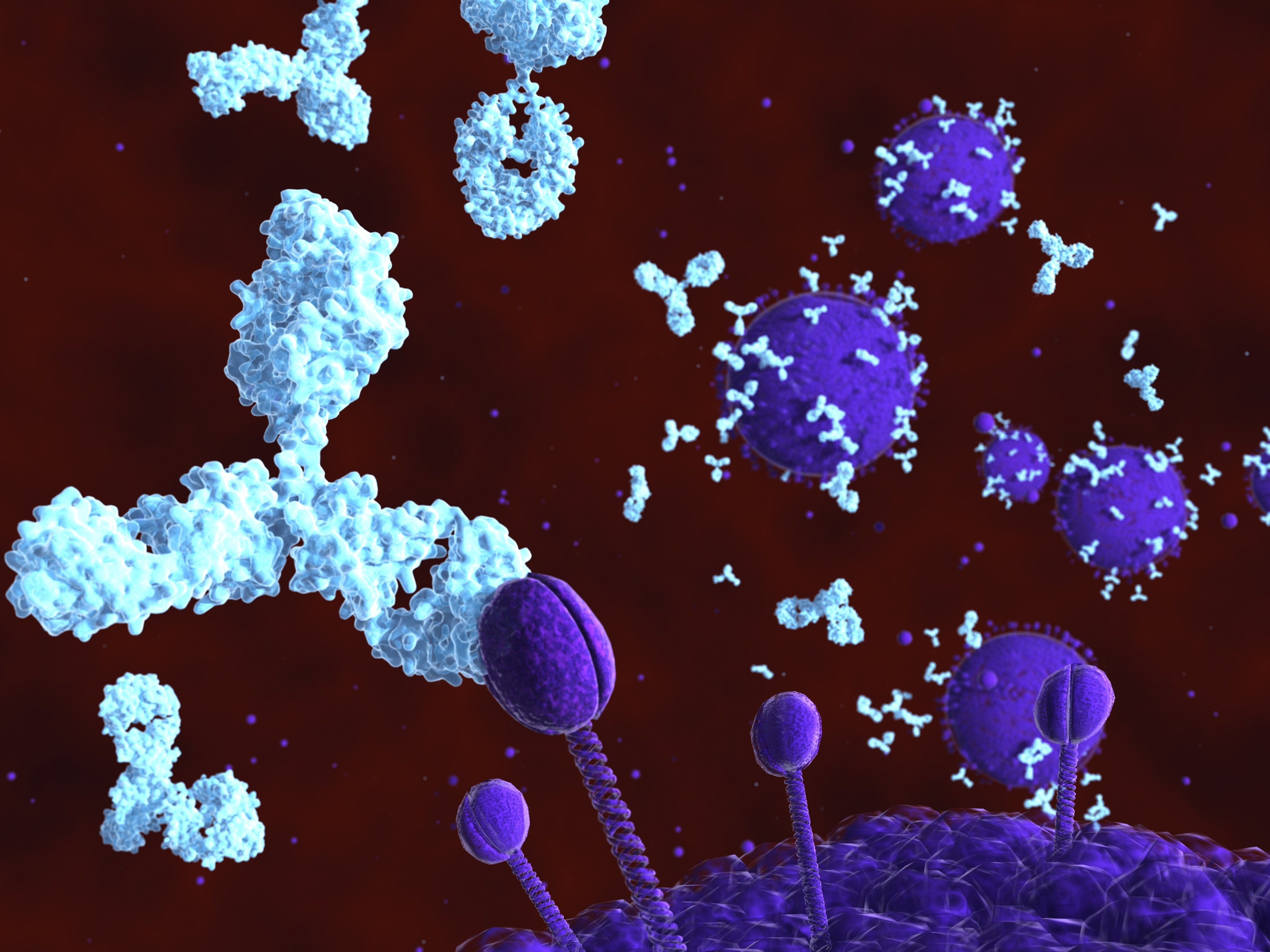 Potent HIV antibody