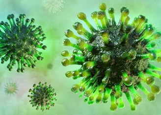 Quadrivalent Hemagglutinin Nanoparticles
