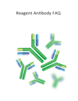 Reagent Antibody FAQ