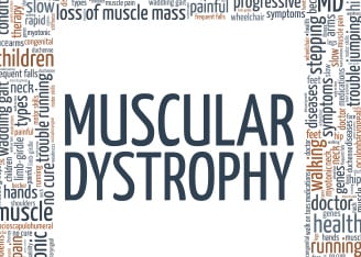 Restoring Muscle Function in Muscular Dystrophy with AAV-Large1