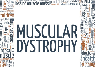 Restoring Muscle Function in Muscular Dystrophy with AAV-Large1