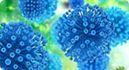 retrovirus
